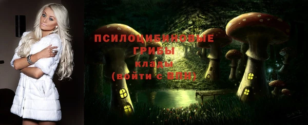 шишки Алексин