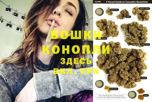 шишки Алексин