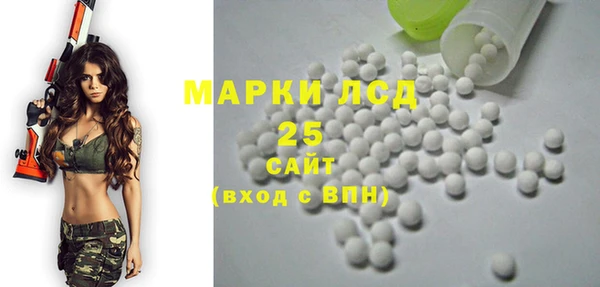 шишки Алексин