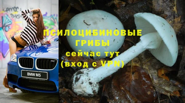 a pvp Алексеевка