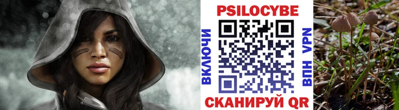 мега как зайти  Солнечногорск  Галлюциногенные грибы Cubensis 