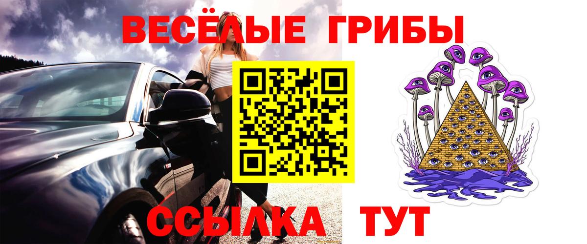 Солнечногорск  Галлюциногенные грибы GOLDEN TEACHER  Вход с VPN 
