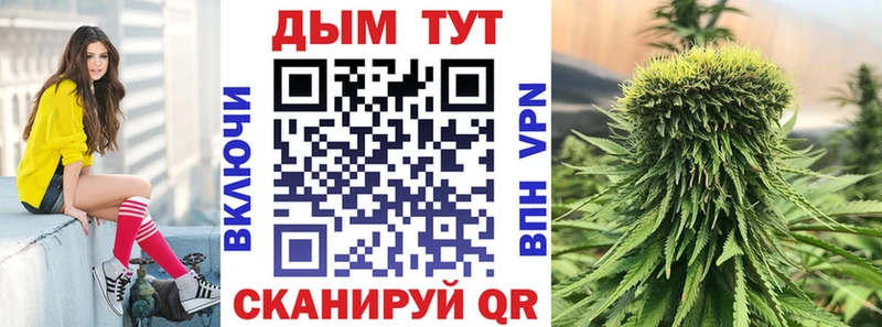где купить наркоту  Солнечногорск  Конопля OG Kush 